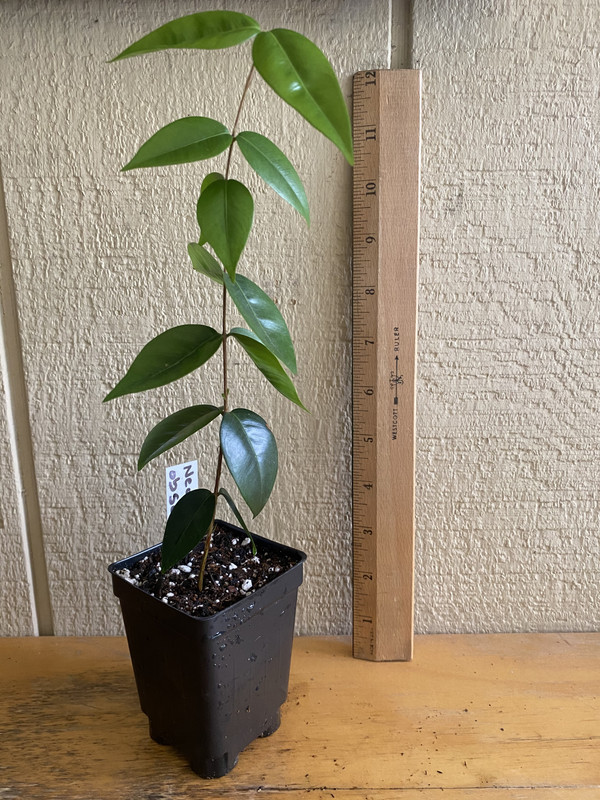 A7A61AC9-87FF-4B63-882A-E059B4124D7D