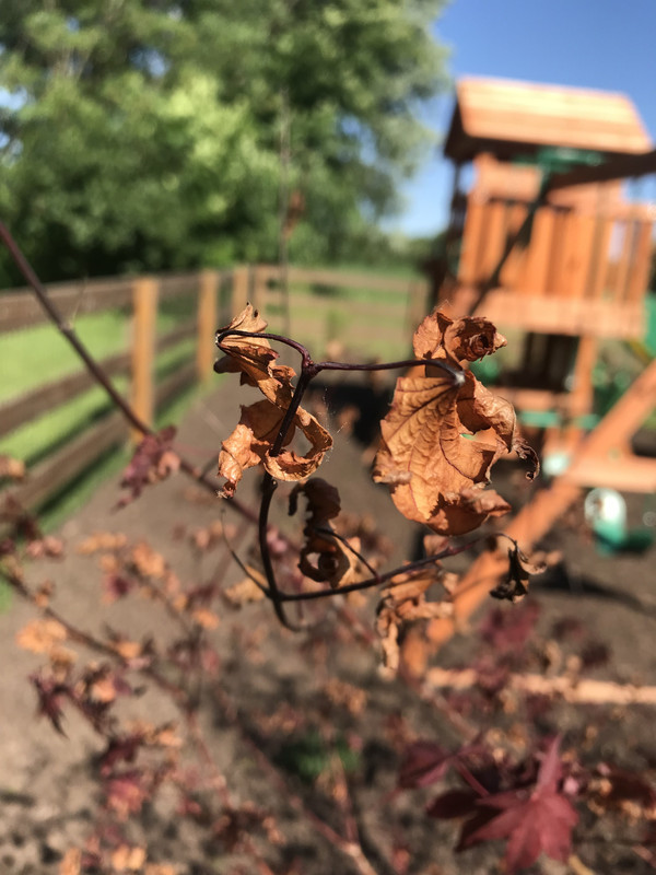 11299B3C-47DE-43AA-8B61-4ABCF10ABDBB