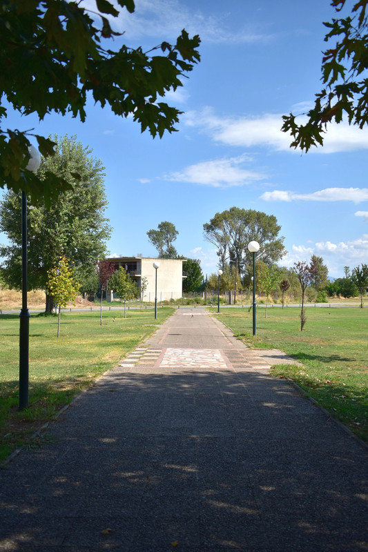 Αλίαρτος (20)