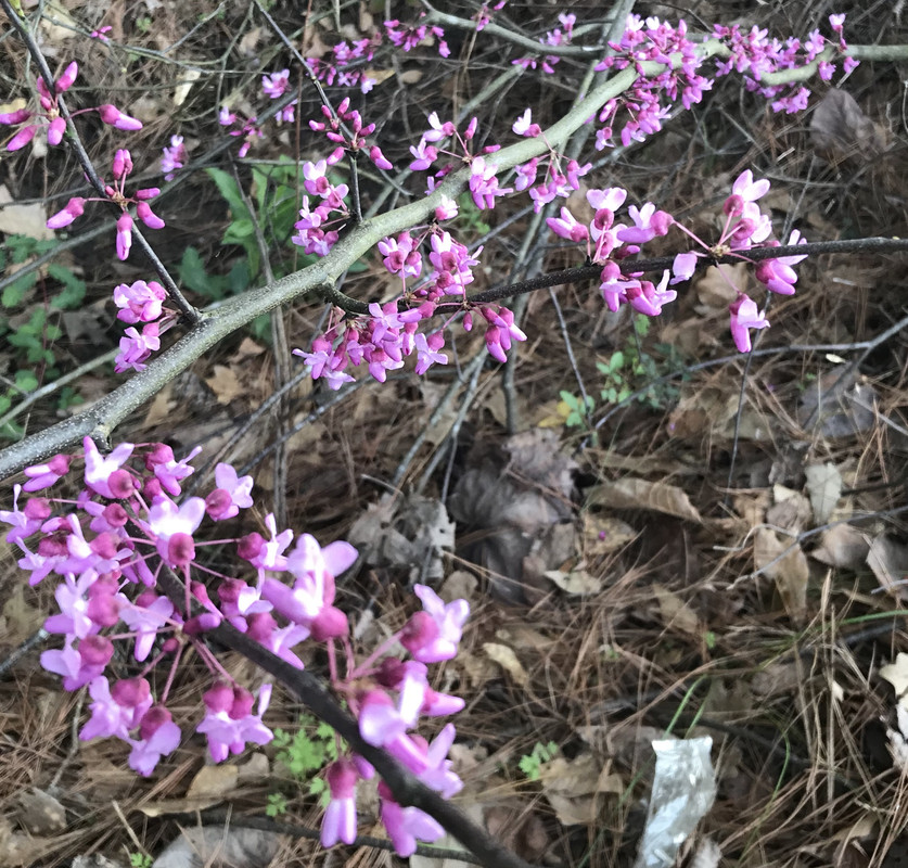 877FEEDD-5E5B-4B3D-9BC4-774B28574AF1