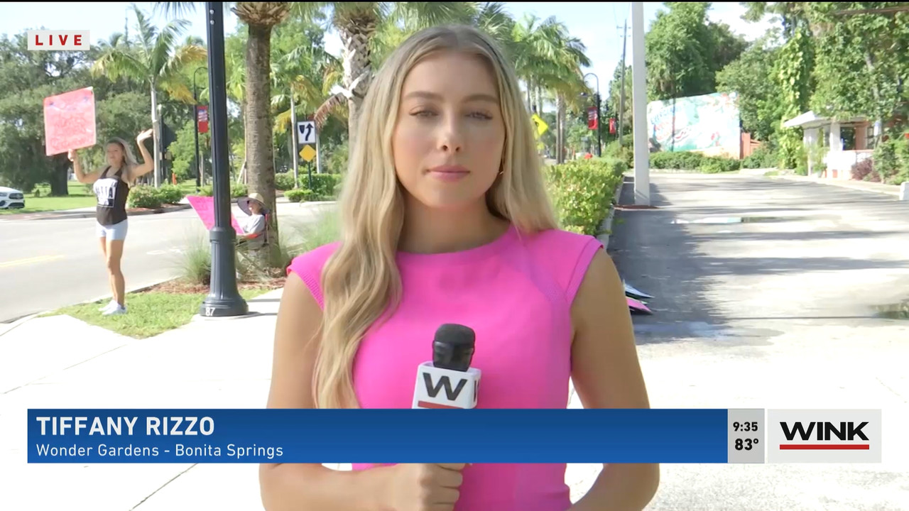 WINK News at 9 00 a.m. 2022_07_30_14_00_00.ts_snapshot_00.38.38.187