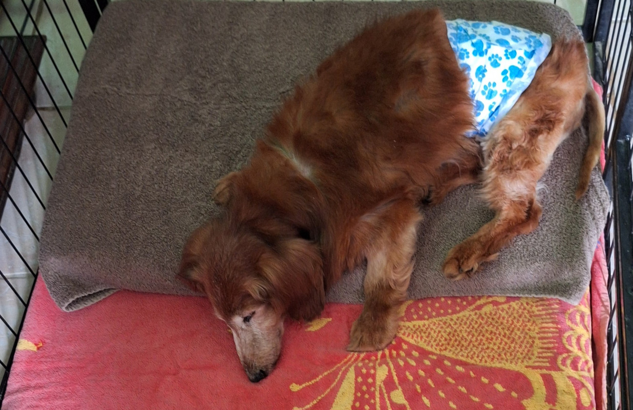 [Image: 20250312-095521.jpg]