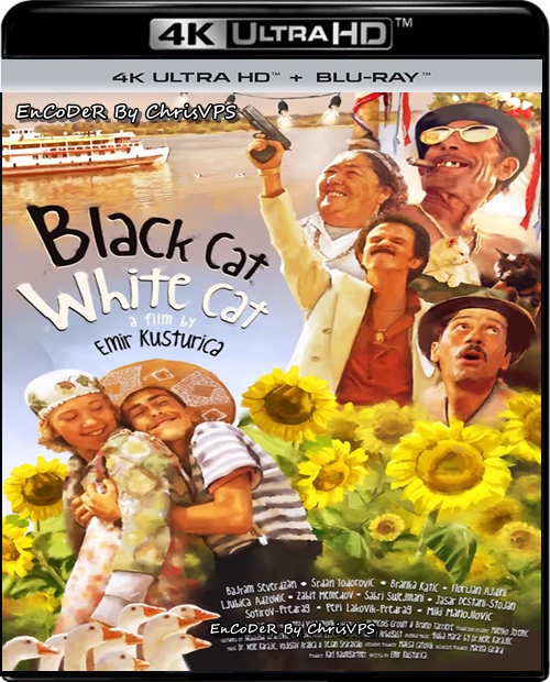 Czarny kot, biały kot / Crna mačka, beli mačor (1998) MULTI.2160p.HDR.DoVi.Hybrid.BDRemux.DTS.AC3-ChrisVPS / LEKTOR i NAPISY