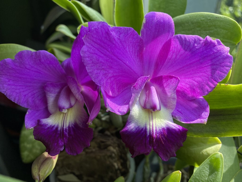 35306BD3-9BDE-4BEA-B10D-203B89308DDD