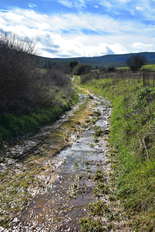 Πέτρινο γεφύρι Δαφνούλας (13)