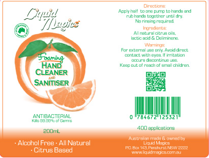 LIQ-200ml-Hand-Cleaner