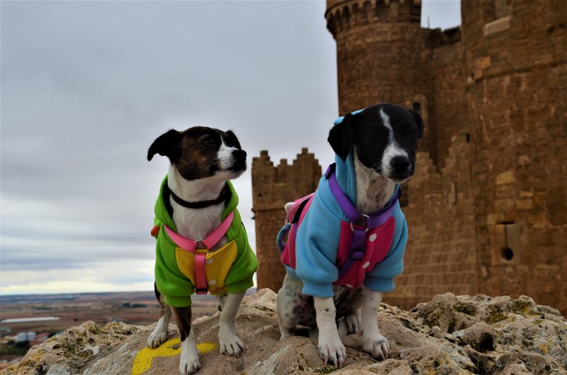 Belmonte-9-11-2016 - Cuenca y sus pueblos-2009/2011/2015/2016/2017 (63)