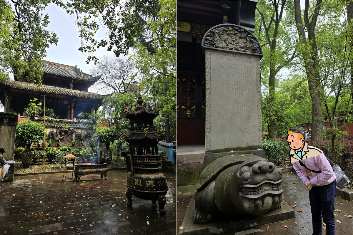 qingyangsmall