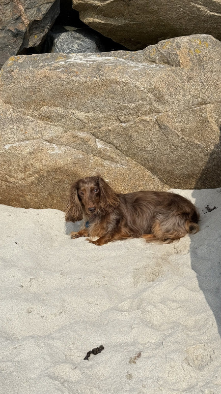 [Image: IMG-3598.jpg]