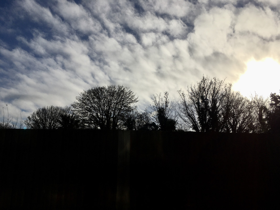 9D5CFCE4-8810-4BEA-AE1F-1EEE50083CFF