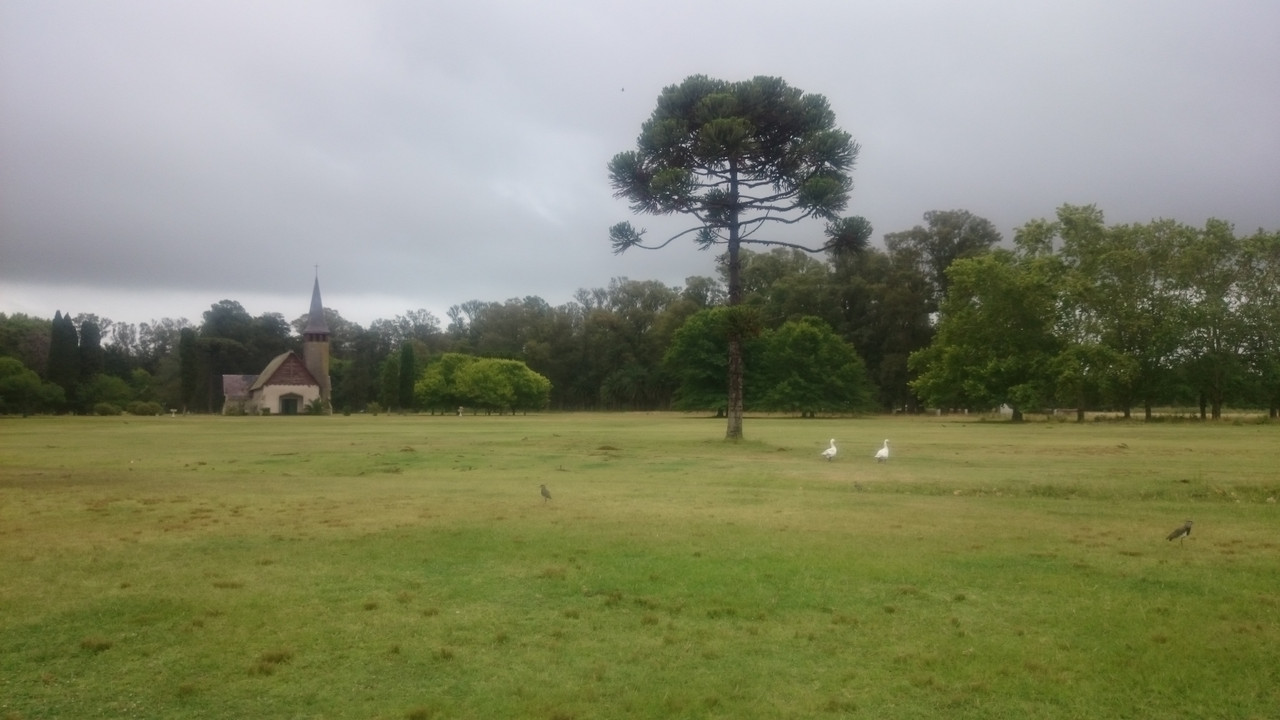 Аргентина (34)