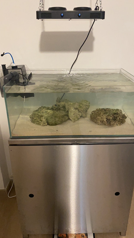 3A4C60A0-322A-4FBE-8EB2-EE5CA7455CC6