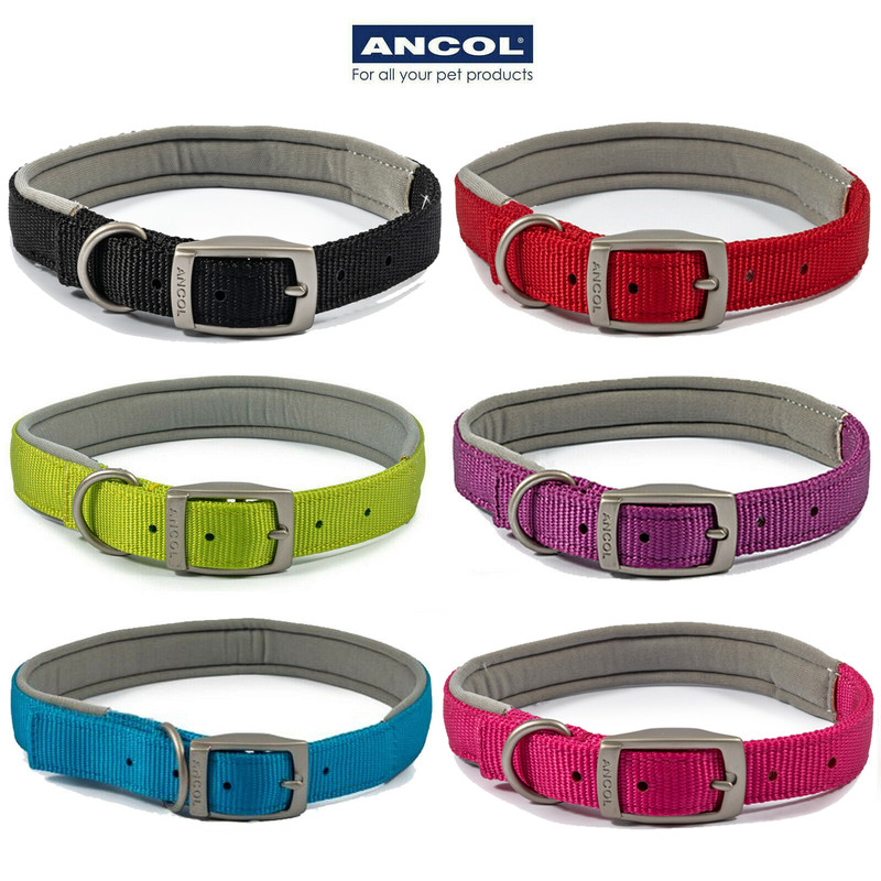 Neoprene dog collar cheap