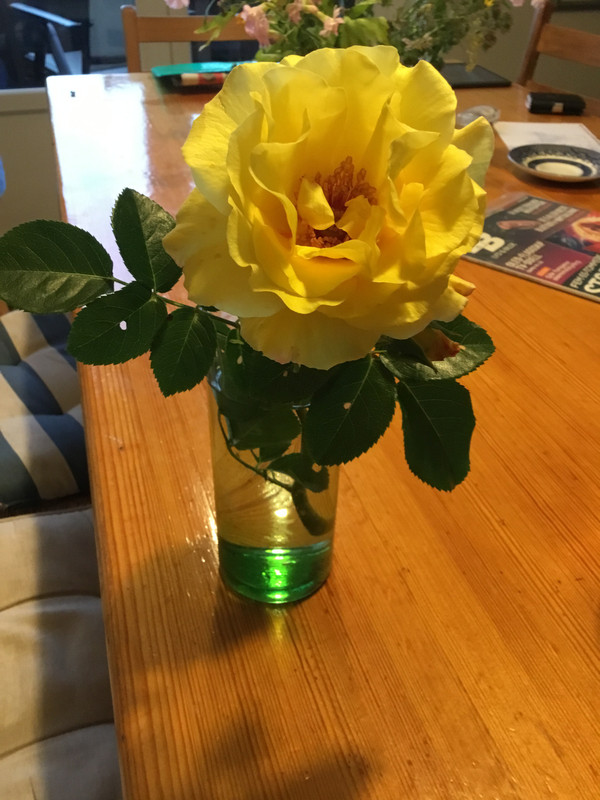 52BF2CBB-71F4-4097-8A1D-45CA1C79A95B