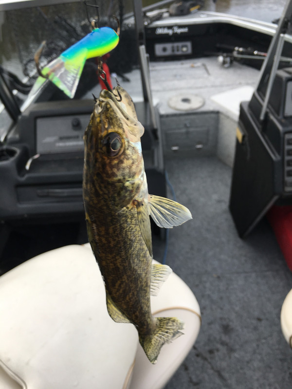 7439E269-80FF-4231-8145-FB7E8B4BF062