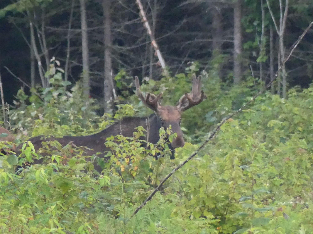 IMG_2402