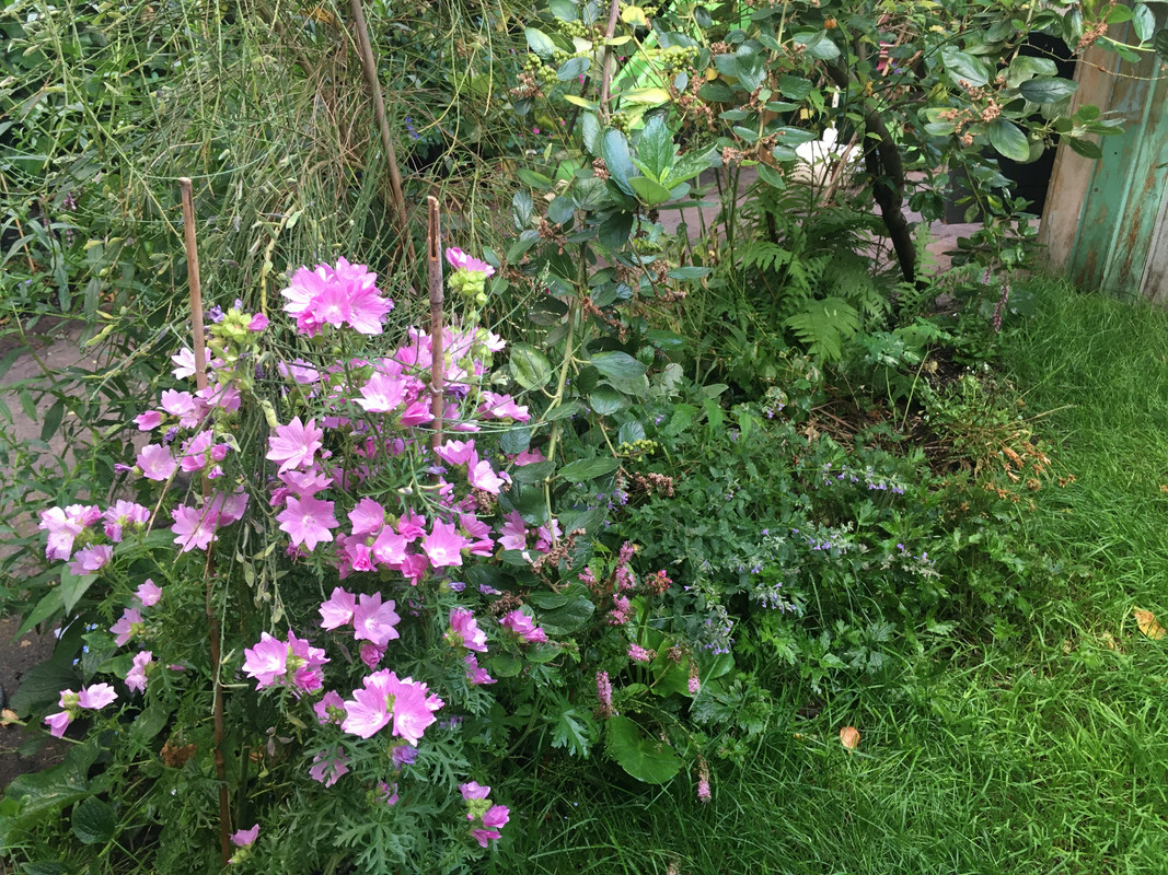 F5B20264-7DD9-4FFA-A556-819C829330F9