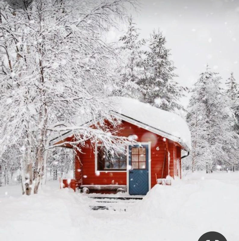 Screenshot_20240124_231018_Pinterest