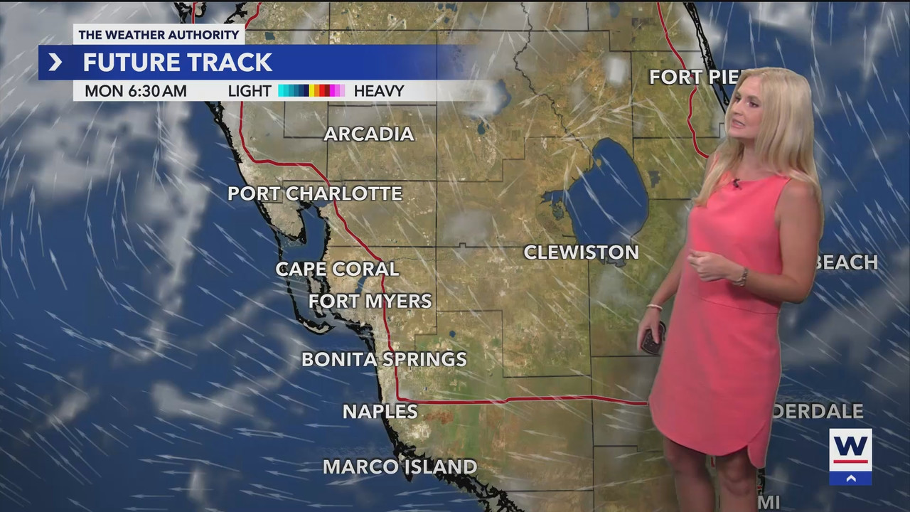 08.12 - 04.00.00 - WINK Weekend News at 11PM Sunday  ᴺᵉʷ. No Descript....ts_snapshot_00.52.22.769