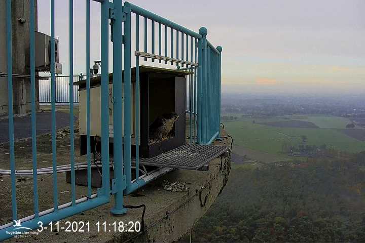 campics vanaf 1 juli © VWGGemert en bonusjes van ter plekke - Pagina 39 V10
