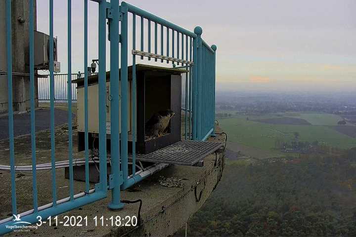 campics vanaf 1 juli  © VWGGemert  en bonusjes van ter plekke - Pagina 39 V10