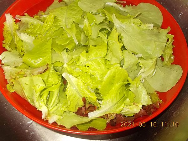 https://i.postimg.cc/B6Wkqqyd/salata-2021-05-16.jpg