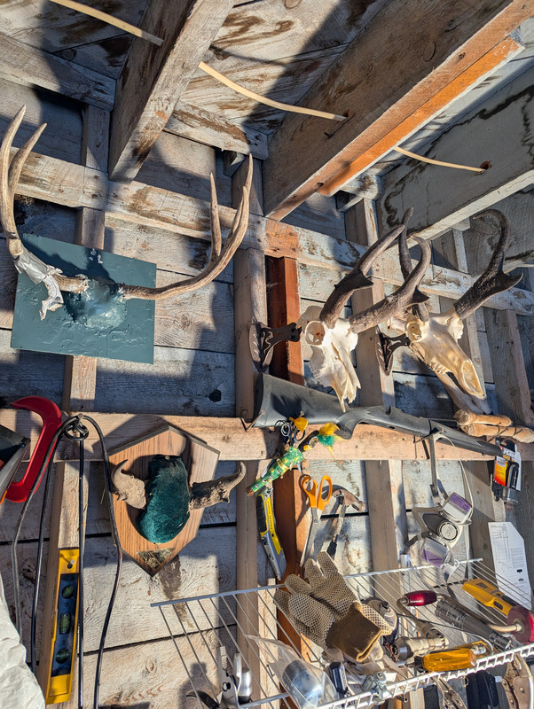 PXL 20260222 205418001