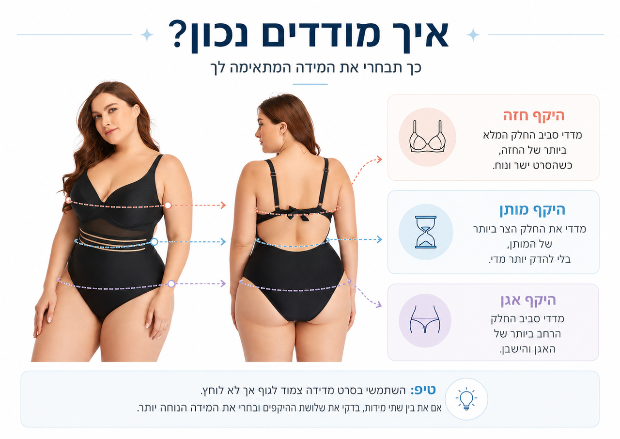 מדריך מידות ויזואלי