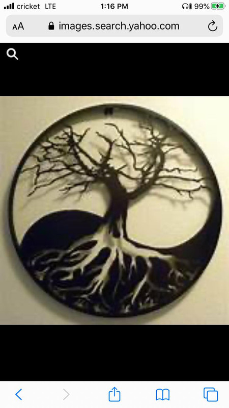 118196298_764379987727661_1902112815118407776_n