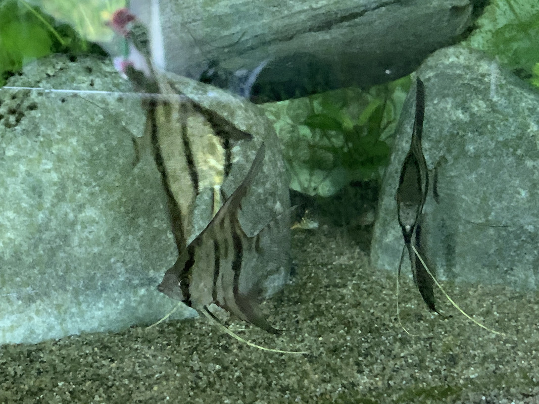 66D967B1-16C5-494F-AB07-747B7C4A619A