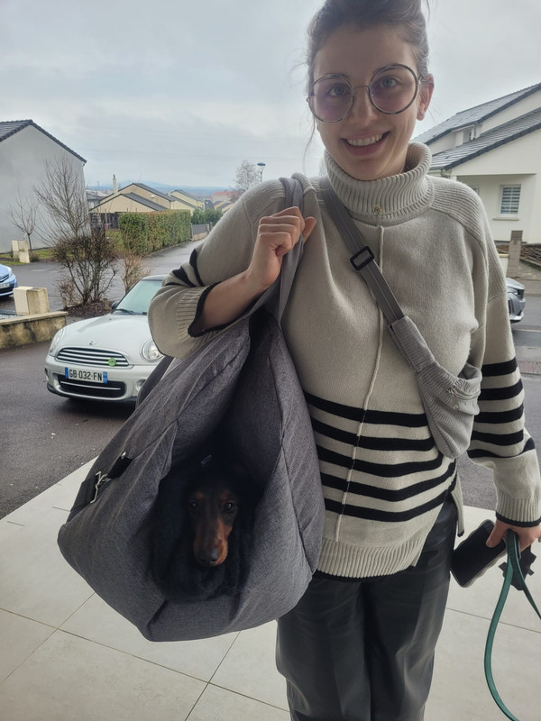 [Image: IMG-20240210-WA0003.jpg]