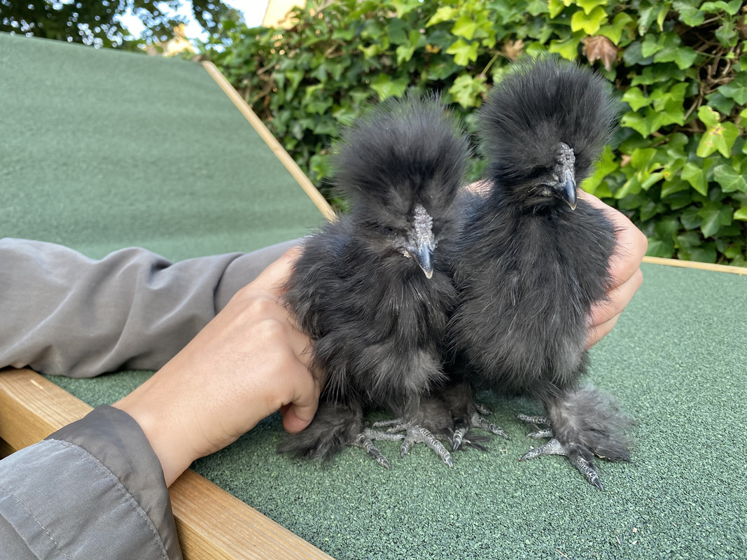 DF0172D4-EDAC-496B-9BA6-F5BDE4277C25