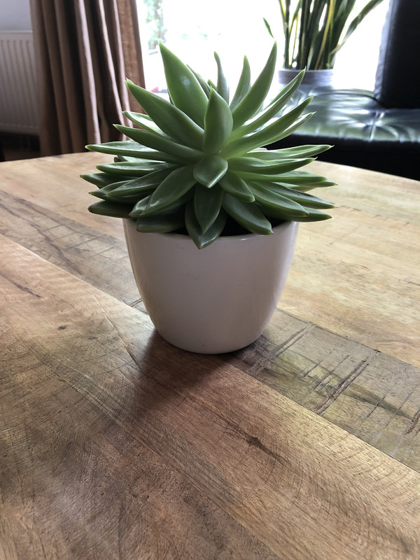 7F3AC2F3-7413-44DF-9470-2DA2676383F4