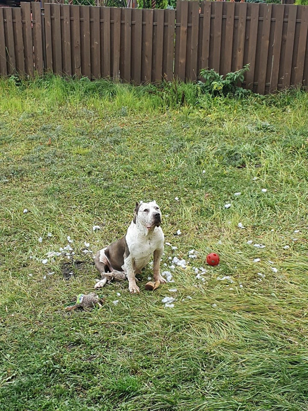 8E5031F0-0BB0-4985-8993-B84CF28F29DD