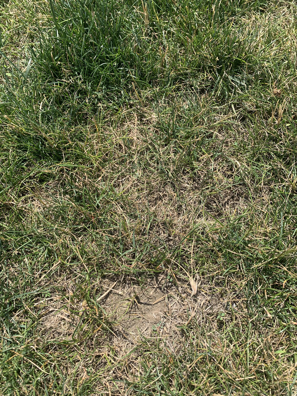 A67B65C8-1C07-4518-B29C-A5001D79CDEE