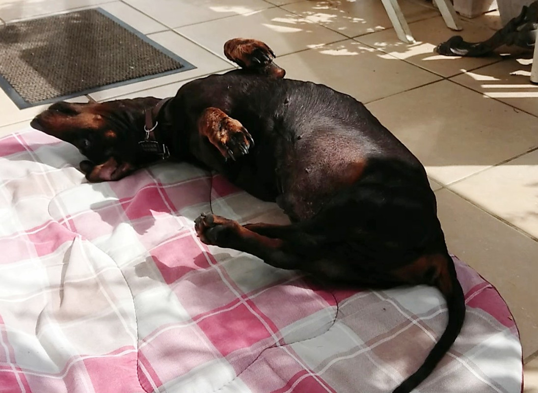 [Image: 20230413-121207.jpg]