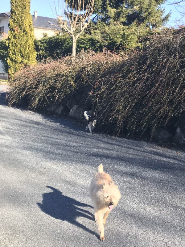 23DA7625-167D-425F-8D6A-62F24B04D1D1