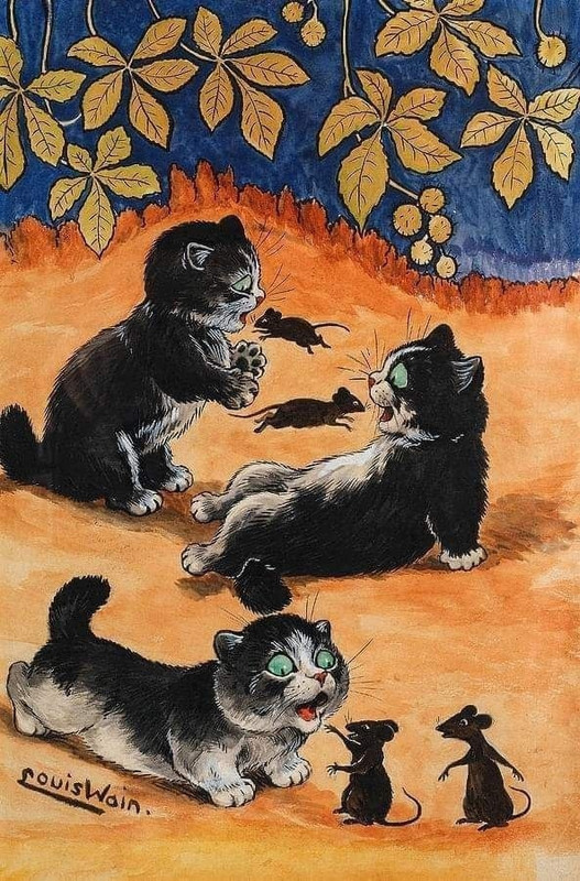 19