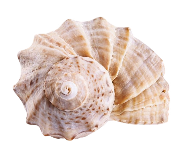 90