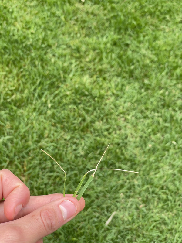 BA6B5CF3-1976-48DB-9EAF-DC93FA312355