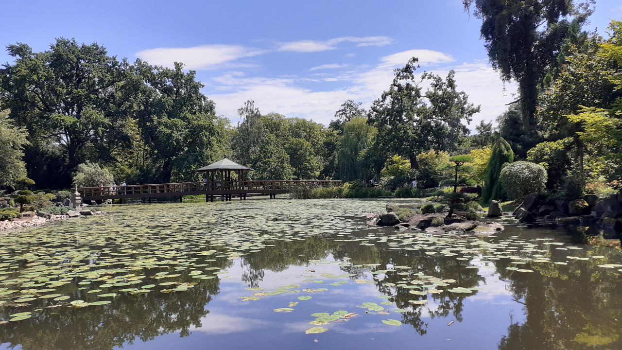 009 - 20200728_123928