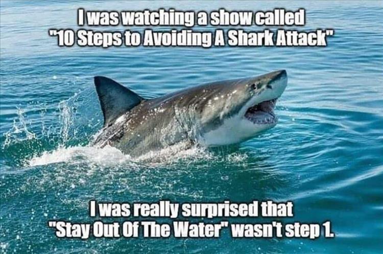 stay-out-of-water-not-listed-as-way-to-avoid-sharks.jpg