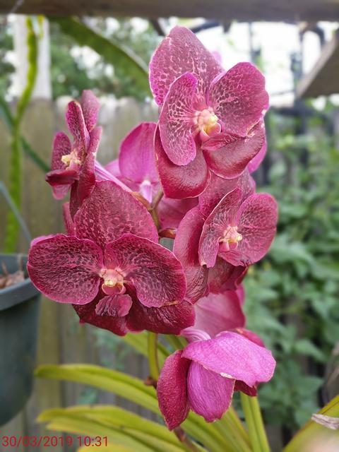 [Image: IMG-20190330-103035.jpg]