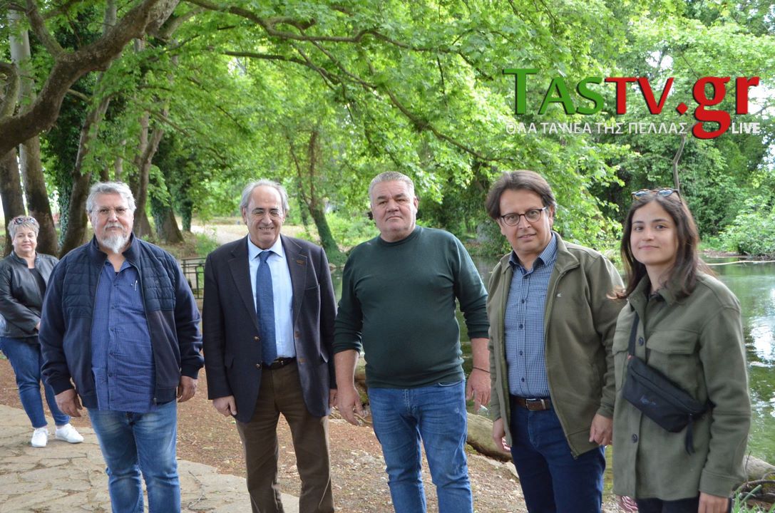 438171569-448919194756011-3562593785611777353-n