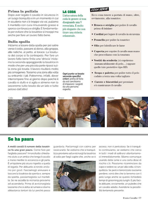 Il Mio Cav (Nov 2021) 10