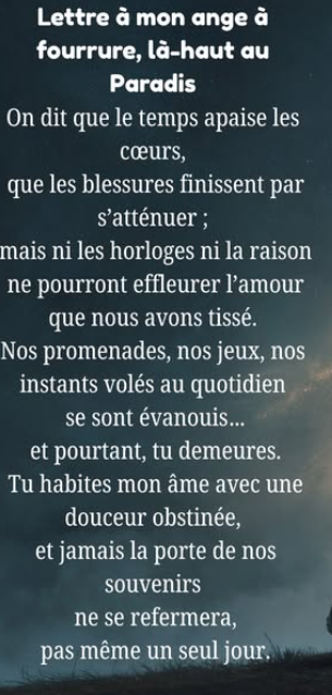 lettre
