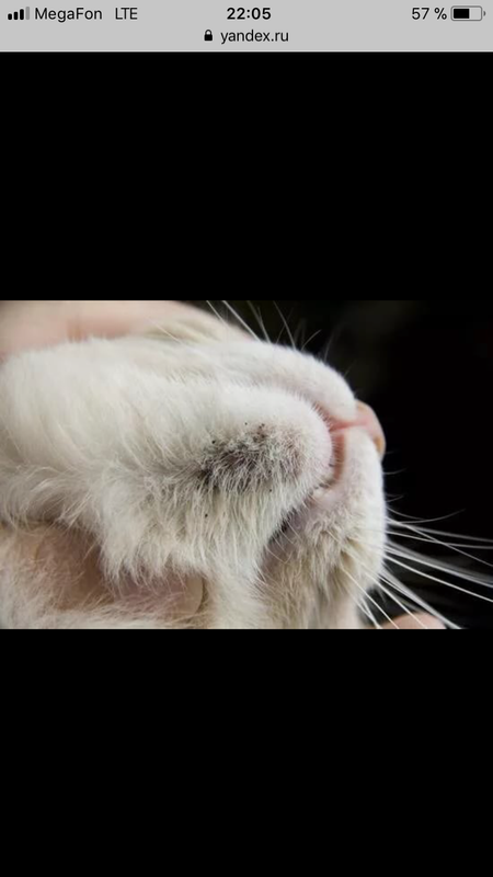 B2DAC2E1-097A-4915-B519-F114D3F149CB