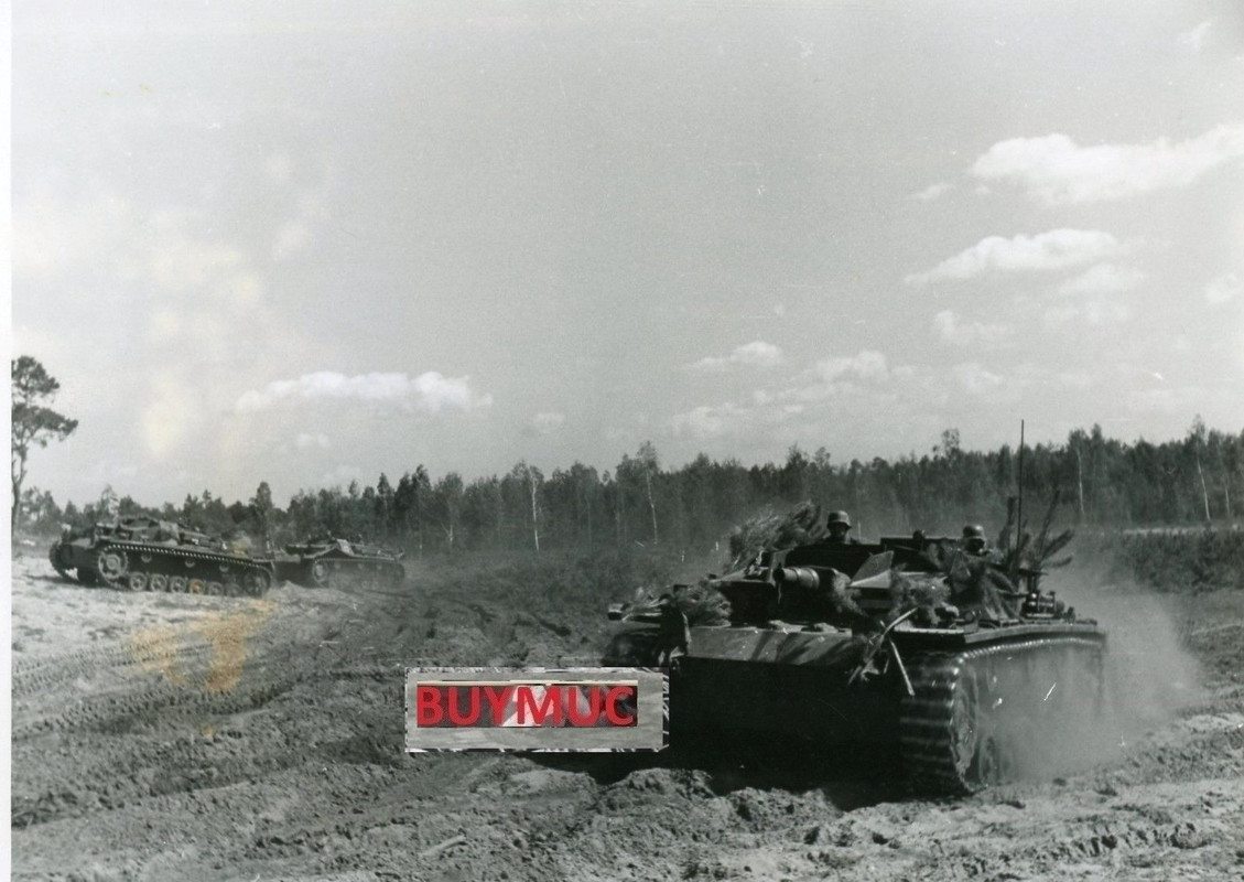 LARGE FOTO PANZER TANK STURMGESCHÜTZ IN RUSSIA O