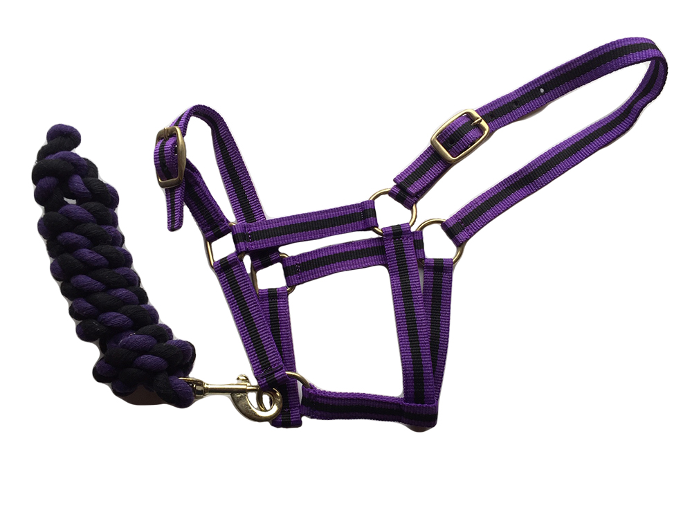 Elico Kingston Headcollars padded fluffy full adjustable PONY PURPLE Elico Kingston Headcollars padded fluffy full adjustable PONY PURPLE