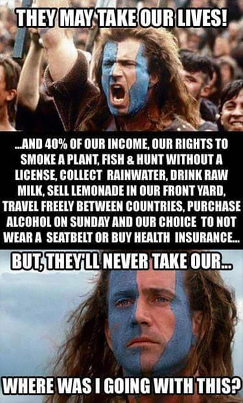theyll-never-take-our-freedoms.jpg